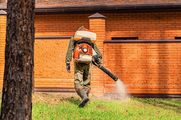 Bed Bug Clearance Verification and Documentation in Palm Beach Gardens